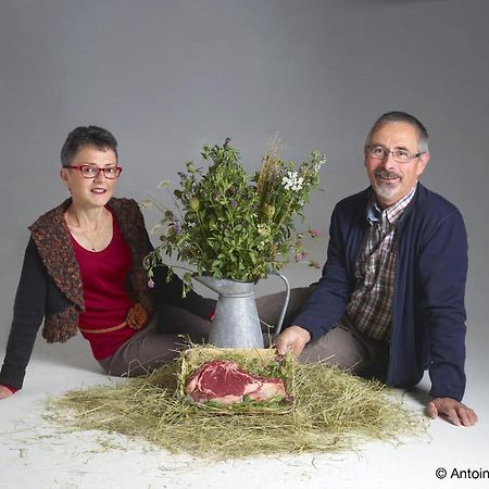 Ferme Du Pigeonnier Panzió Montceau-et-Echarnant Kültér fotó