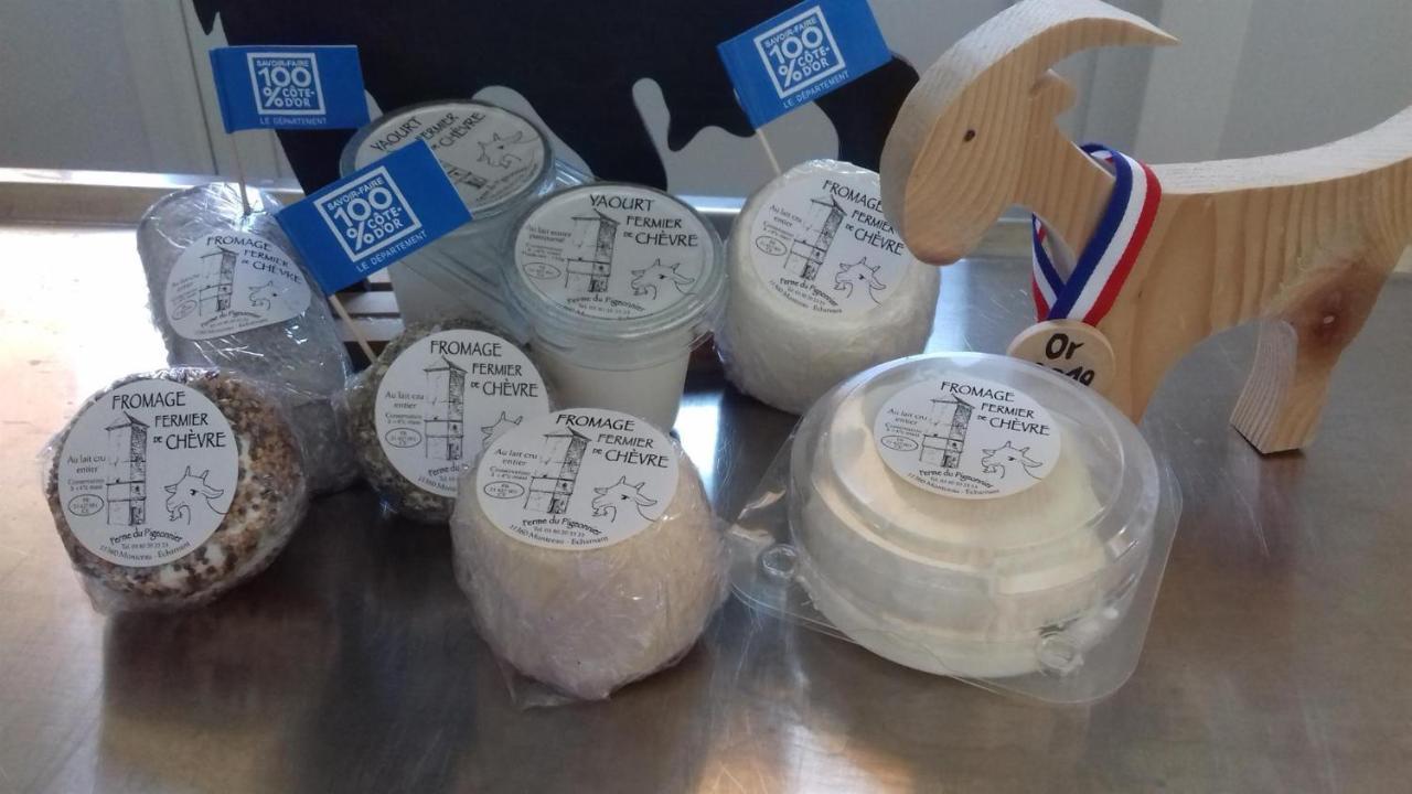 Ferme Du Pigeonnier Panzió Montceau-et-Echarnant Kültér fotó